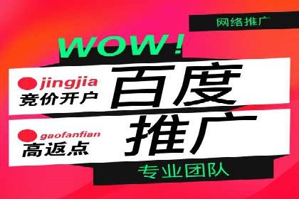 sem代运营公司案例解析：如何制定有效的广告策略