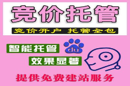 某电商平台的SEM关键词策略及成效分析